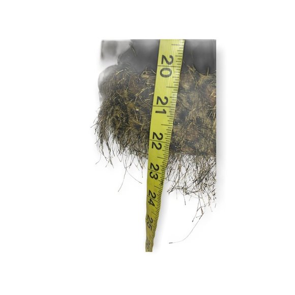 Vintage Y2K Lord West Faux Fur Trim Blazer Medium - Picture 6 of 8